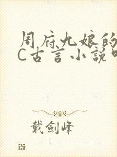 周府九娘的NPC古言小说叫什么
