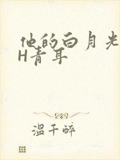 他的白月光HVH青耳