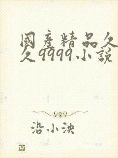 国产精品久久久久9999小说