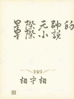 星际元帅的男妻星际小说