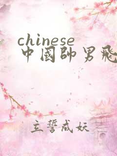 chinese中国帅男飞机