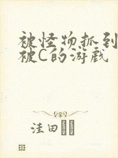 被怪物抓到就会被C的游戏