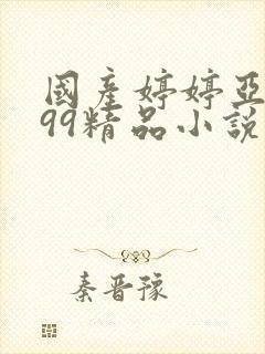 国产婷婷亚洲999精品小说