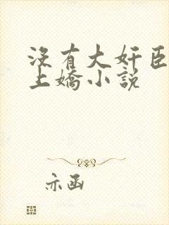 没有大奸臣的掌上娇小说