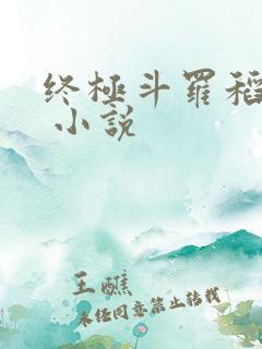 终极斗罗稻草人 小说