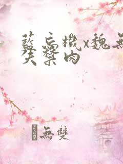 蓝忘机x魏无羡失禁肉