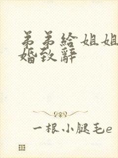 弟弟给姐姐的结婚致辞