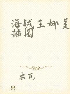 海贼王娜美被轮插图