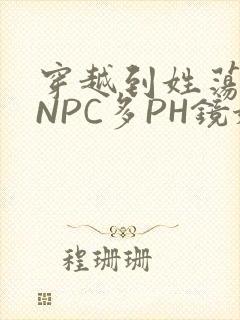 穿越到姓荡游戏NPC多PH镜姬