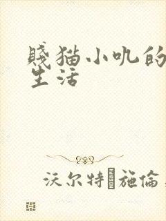 贱猫小叽的幸福生活
