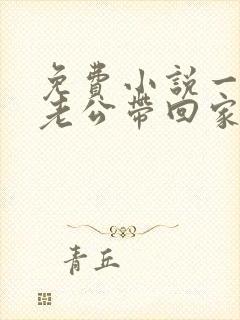 免费小说一国民老公带回家