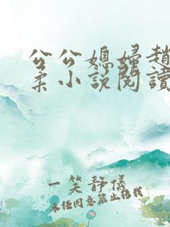 公公媳妇赵刚苏柔小说阅读