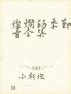 灿烂的季节在哪看全集