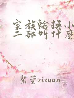 家族轮换小说第二部叫什么名字