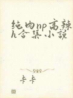 纯肉np高辣文h合集小说