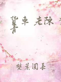 货车 老陈 李青