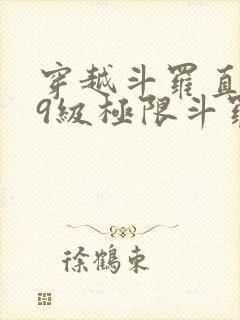 穿越斗罗直接99级极限斗罗的小说