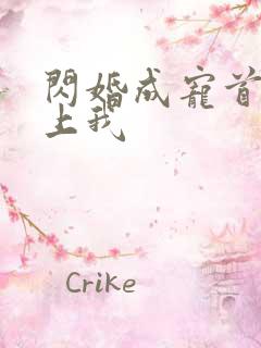 闪婚成宠首富爱上我