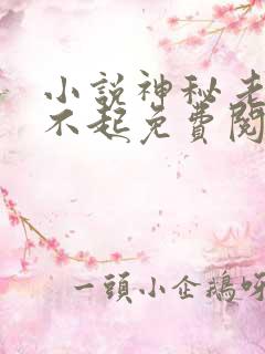 小说神秘老公惹不起免费阅读全文