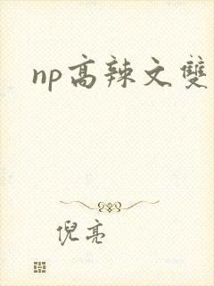 np高辣文双性