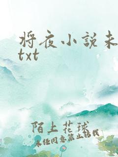 将夜小说未删版txt