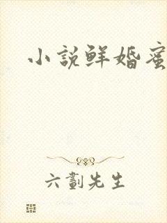 小说鲜婚蜜爱
