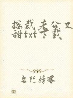 总裁老公又坏又甜txt下载