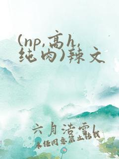 (np,高h,纯肉)辣文