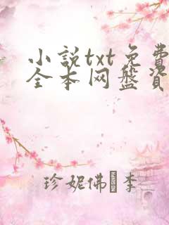 小说txt免费全本网盘资源