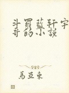 斗罗蓝轩宇是我哥的小说