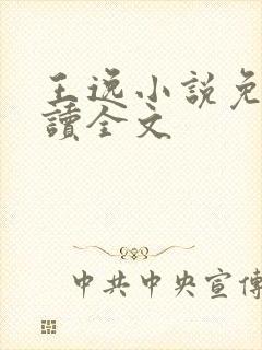 王逸小说免费阅读全文