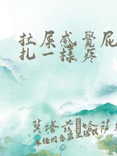 拉屎感觉屁眼针扎一样疼