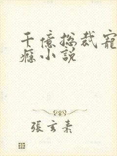 千亿总裁宠妻成瘾小说