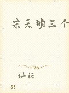 宋天明三个婆娘