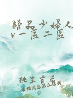 精品少妇人妻av一区二区
