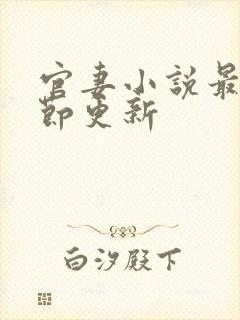 官妻小说最新章节更新