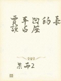 贾平凹的长篇小说占座