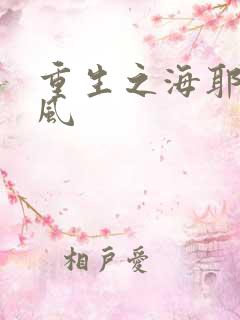 重生之海耶斯旋风