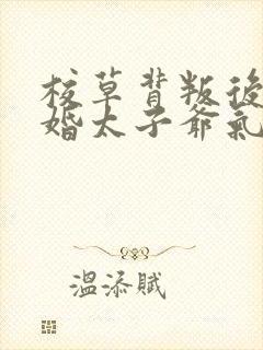 校草背叛后我闪婚太子爷气疯他苏念笙无删