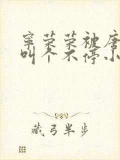 宁荣荣被唐三桶叫个不停小说