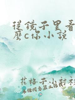 从镜子里看我怎么c你小说