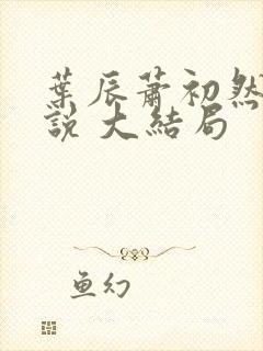 叶辰萧初然 小说 大结局