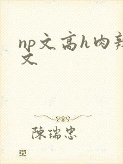 np文高h肉辣文
