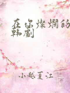 在你灿烂的季节韩剧