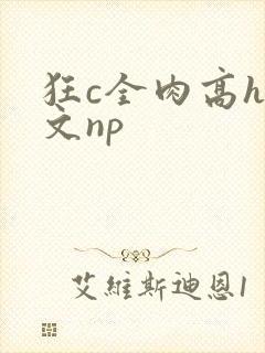 狂c全肉高h辣文np