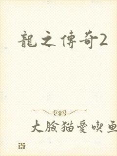 龙之传奇2
