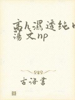 高h湿透纯肉放荡文np