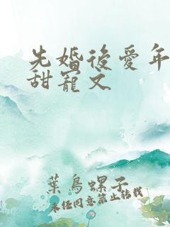 先婚后爱年龄差甜宠文