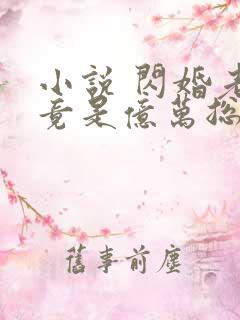 小说 闪婚老公竟是亿万总裁