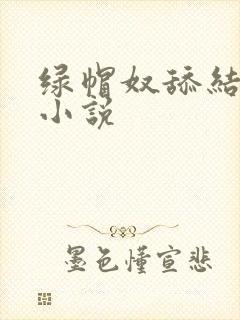 绿帽奴舔结合处小说